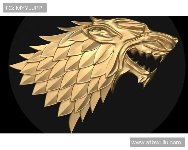 休斯顿与填萨斯城的精彩对决谁将赢得这场城市之战